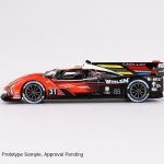 CADILLAC V-SERIES.R CADILLAC RACING #31 WHELEN ENGINEERING SEBRING 12 HRS WINNER 2023