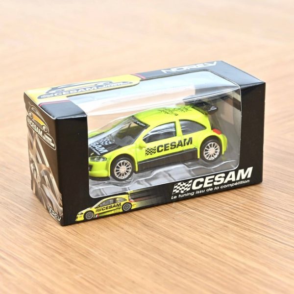 Renault Megane Trophy CESAM - Slika 2